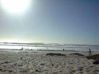 Melkbos jpg