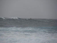 KIF 5397-small jpg